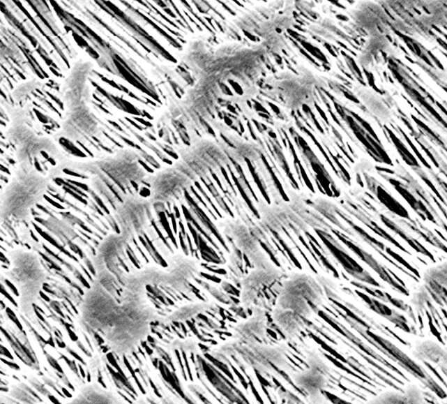 Hydrophobic PTFE (Polytetrafluoroethylene) Membrane Filters
