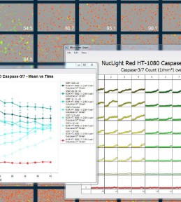 Live-Cell Imaging and Analysis Software