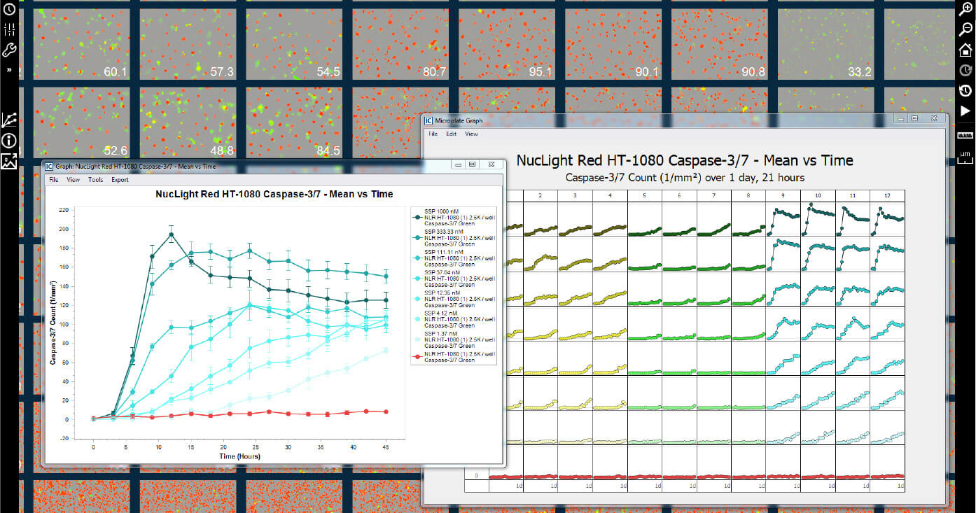 Live-Cell Imaging and Analysis Software