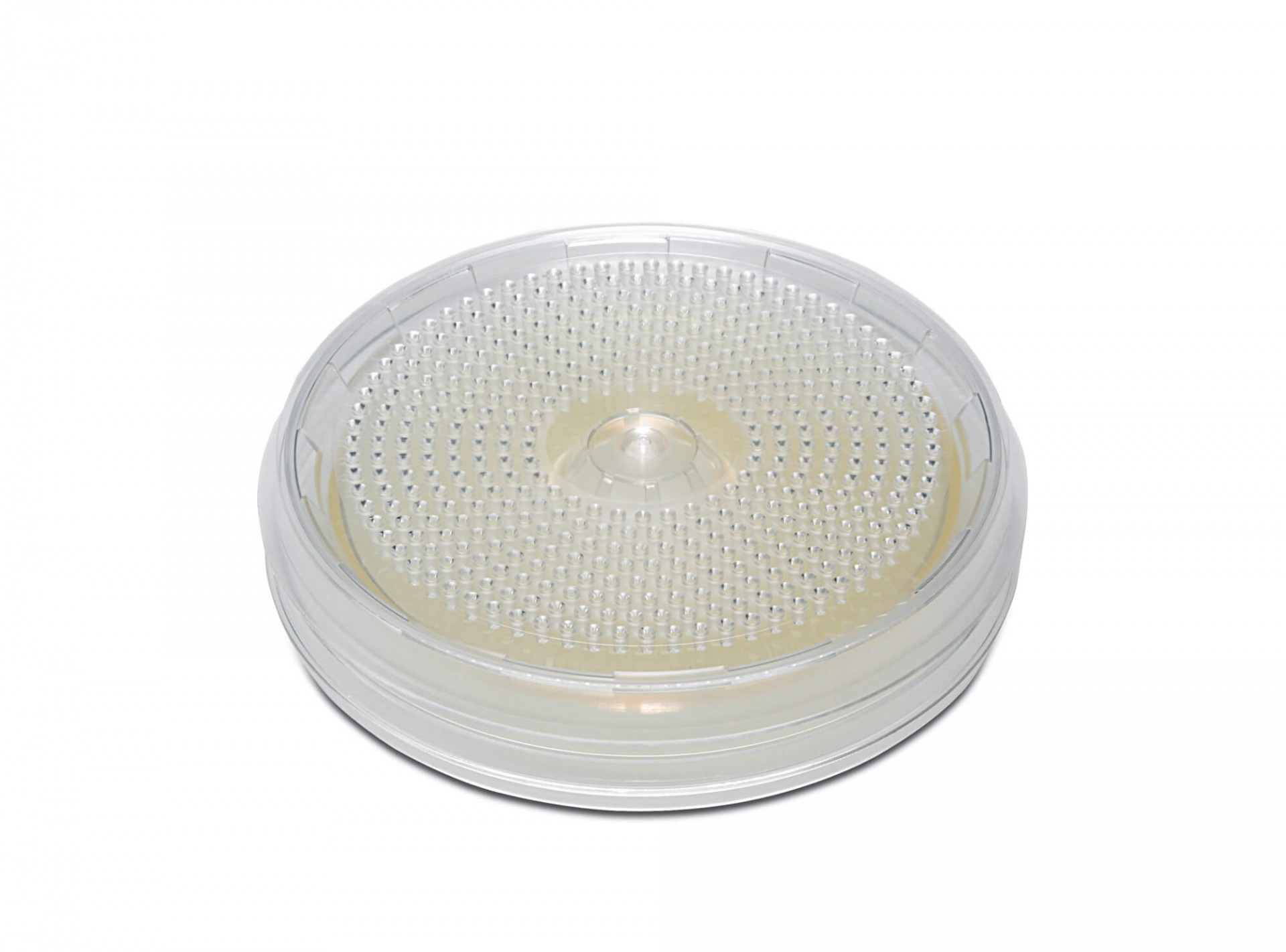 Gelatin Filter