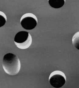 Polycarbonate Track-Etched (PC-TEM) Membranes