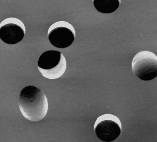 Membrane in policarbonato track-etched (PC-TEM)