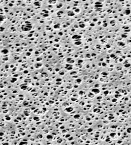 Non-Sterile Membrane Filters