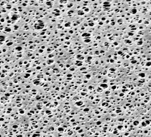 Non-Sterile Membrane Filters