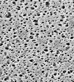 Polyethersulfone (PES) Membrane Filters