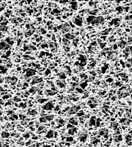 Cellulose Nitrate (CN) Membrane Filters
