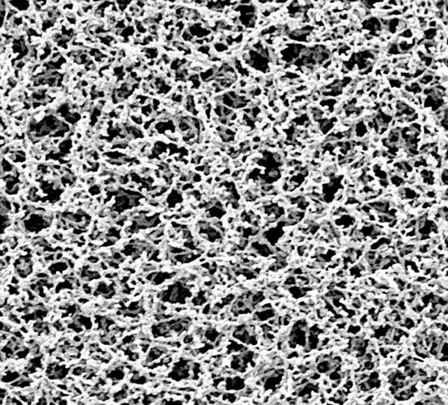 Cellulose Nitrate (CN) Membrane Filters