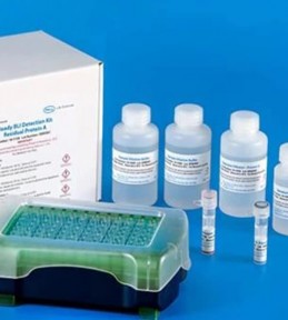 Anti-CHO HCP Detection Kit