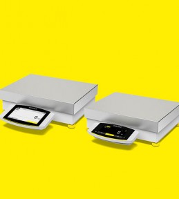 High-Capacity Balances